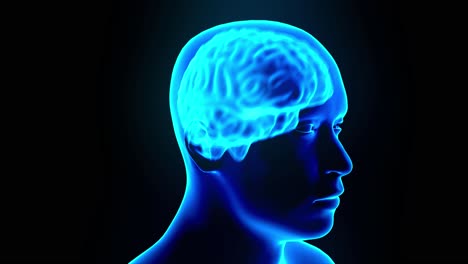 Gehirnhologramm-Rotierende-Funken-Blitze-Elektrizität-Kopfschmerzen-Neuronenschleife-4k